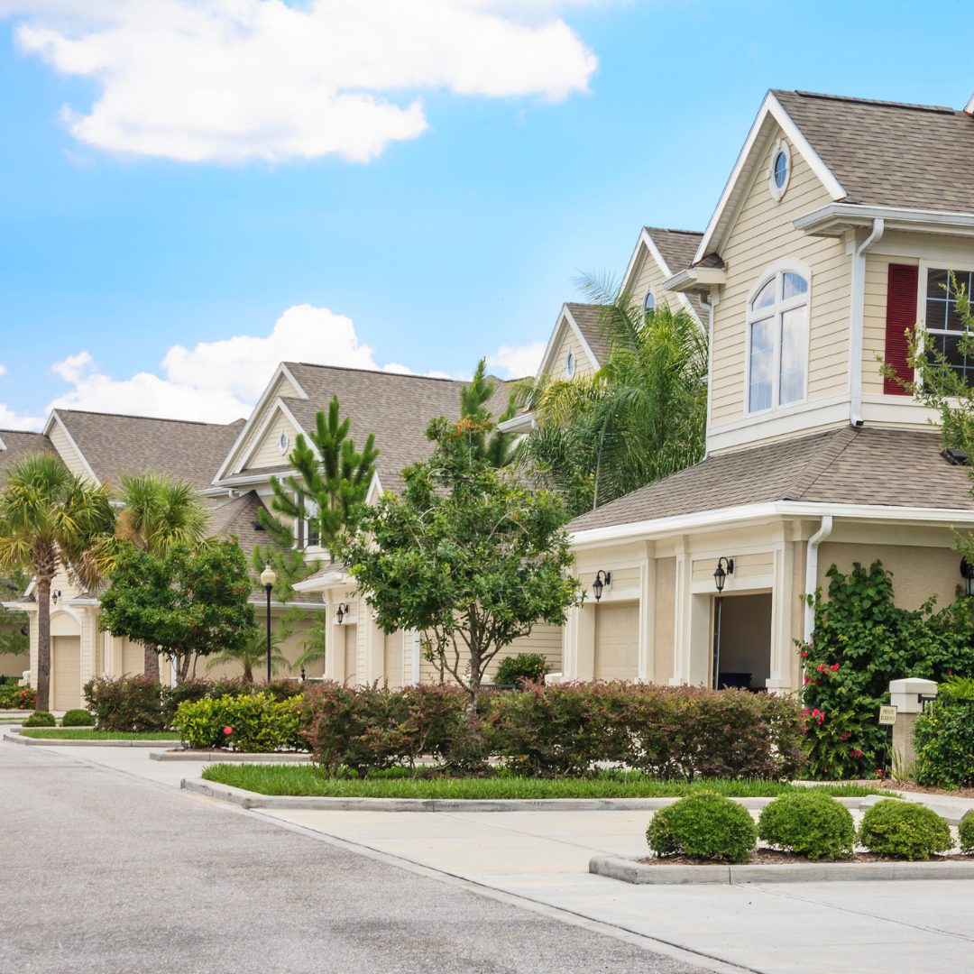 Your paragraph text (1)