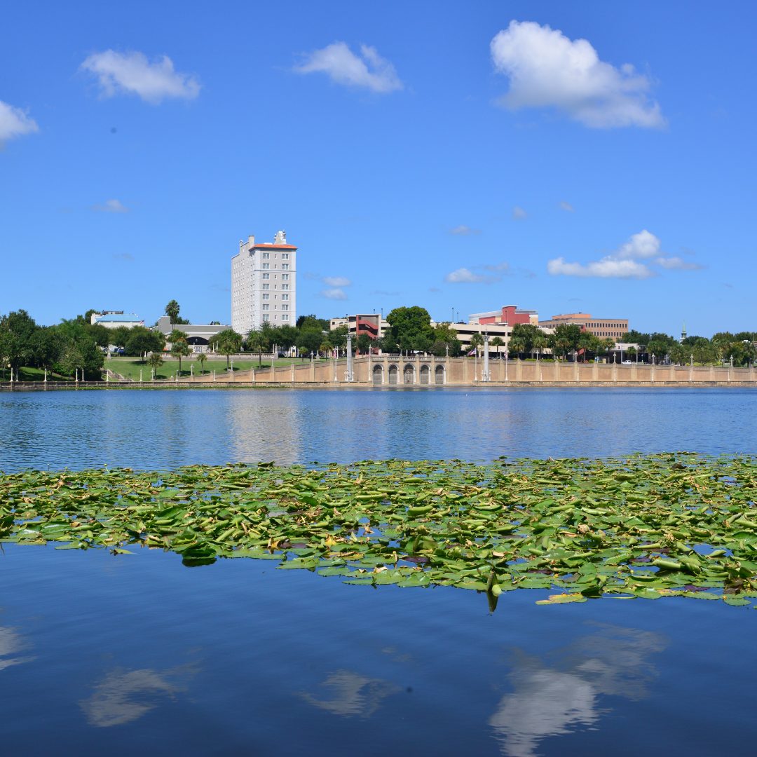 Your paragraph text (4)