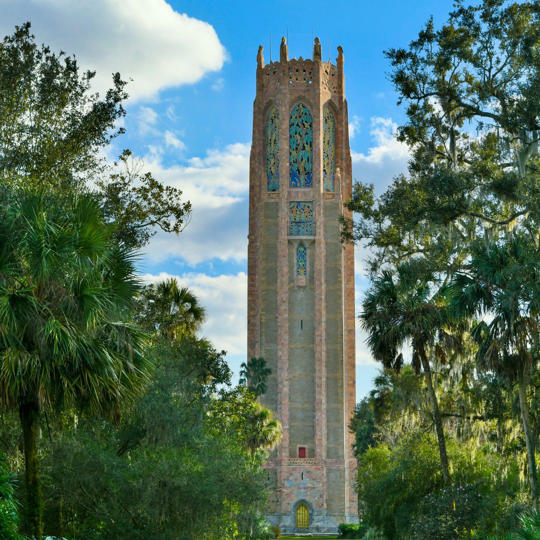 Your paragraph text (6)